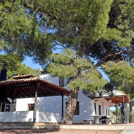 Bonaire Alicante
